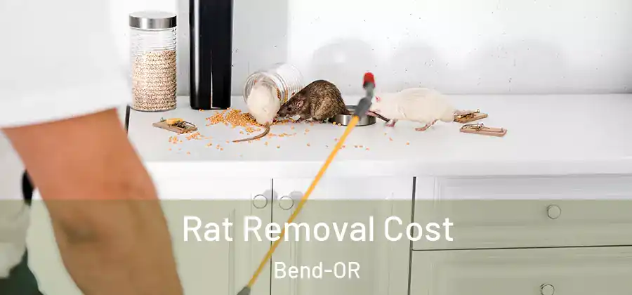  Rat Removal Cost Bend-OR