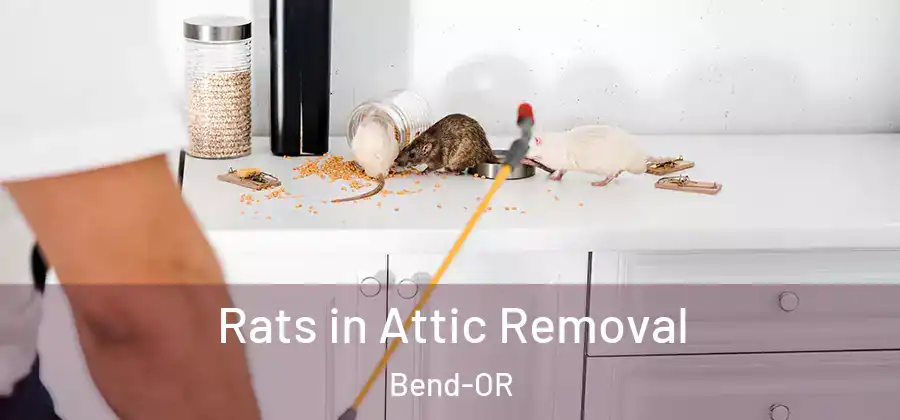 Rats in Attic Removal Bend-OR