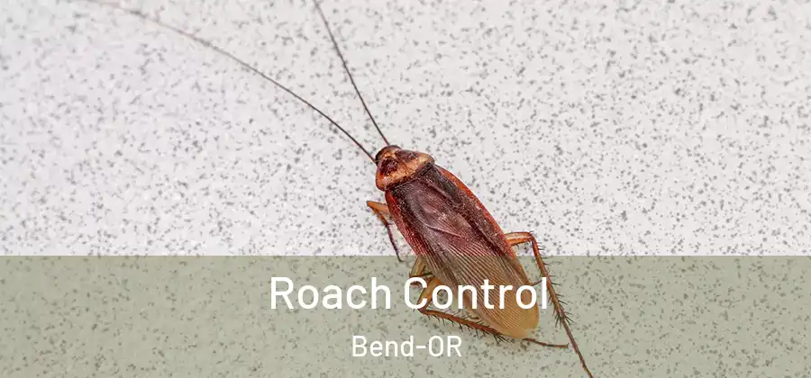  Roach Control Bend-OR
