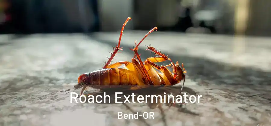  Roach Exterminator Bend-OR