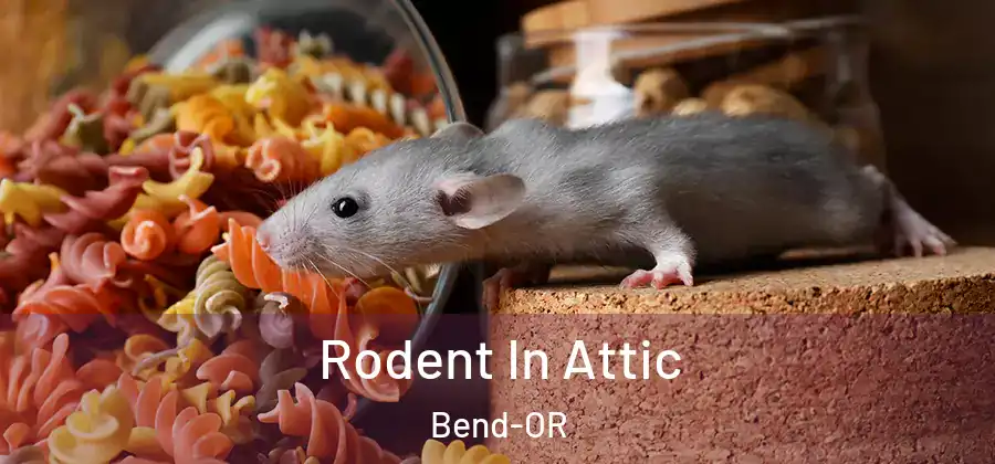 Rodent In Attic Bend-OR