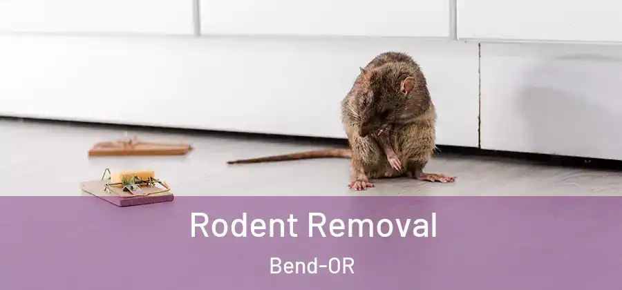  Rodent Removal Bend-OR