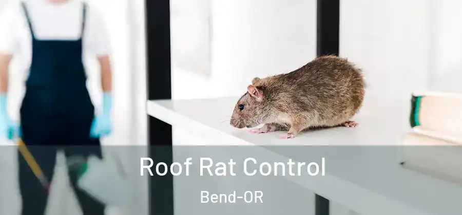  Roof Rat Control Bend-OR