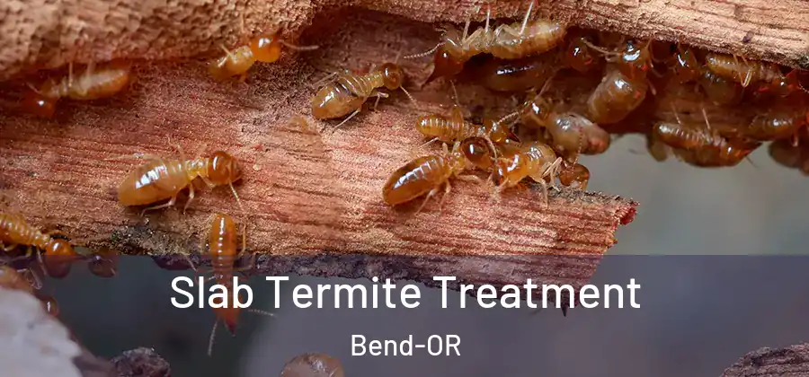  Slab Termite Treatment Bend-OR