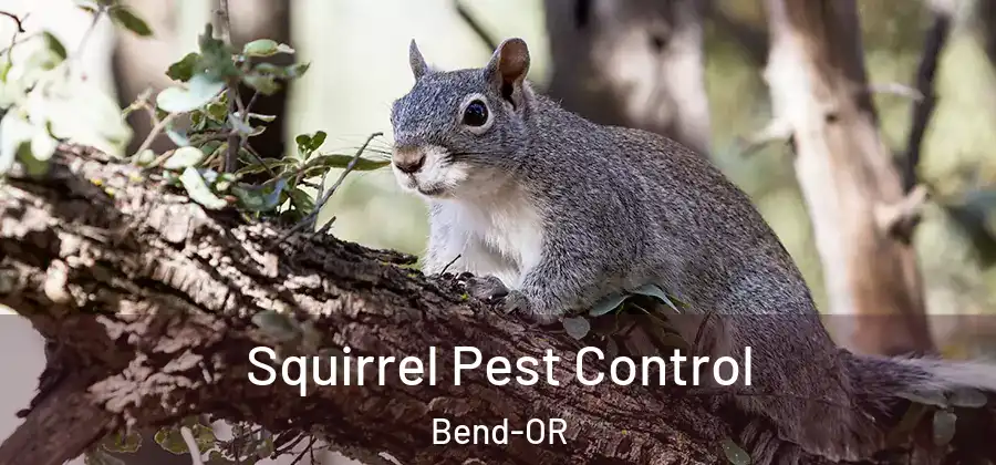  Squirrel Pest Control Bend-OR