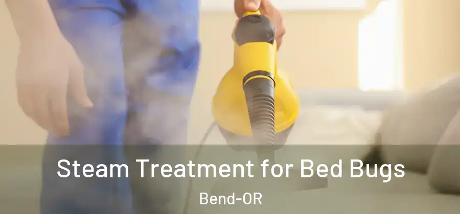  Steam Treatment for Bed Bugs Bend-OR