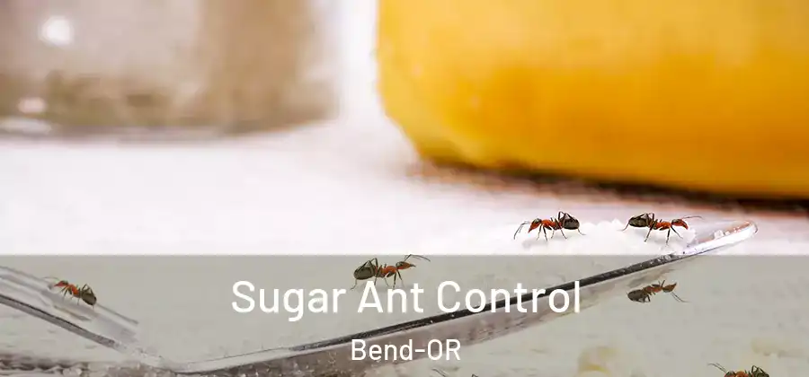  Sugar Ant Control Bend-OR