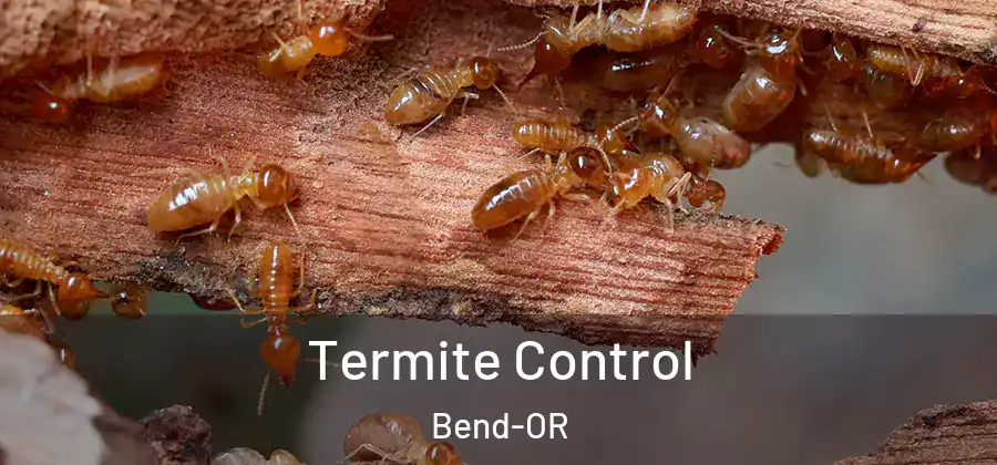  Termite Control Bend-OR