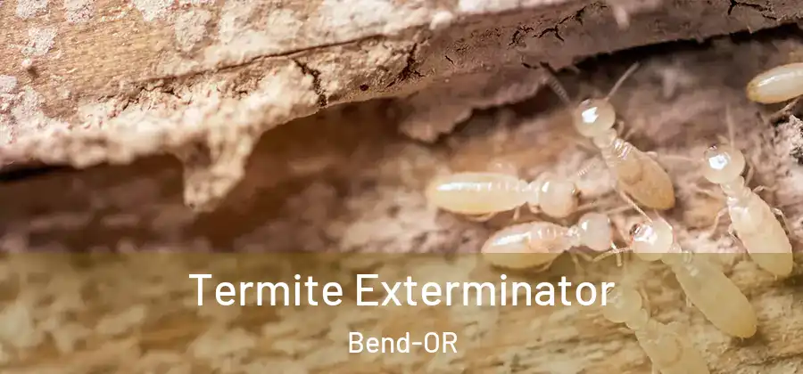  Termite Exterminator Bend-OR