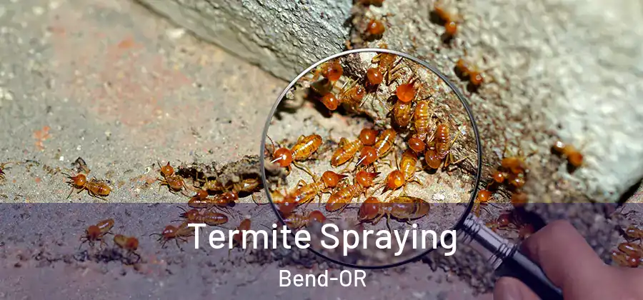  Termite Spraying Bend-OR