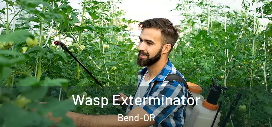  Wasp Exterminator Bend-OR