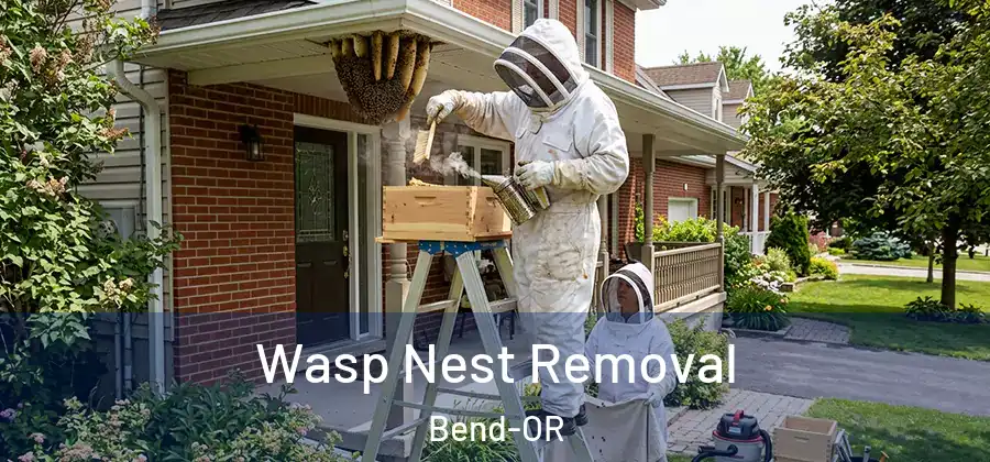  Wasp Nest Removal Bend-OR
