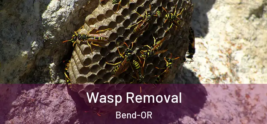  Wasp Removal Bend-OR