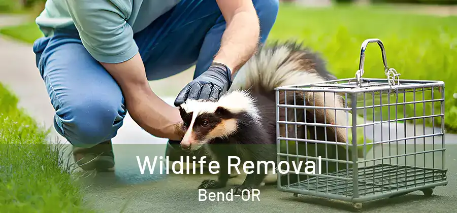  Wildlife Removal Bend-OR