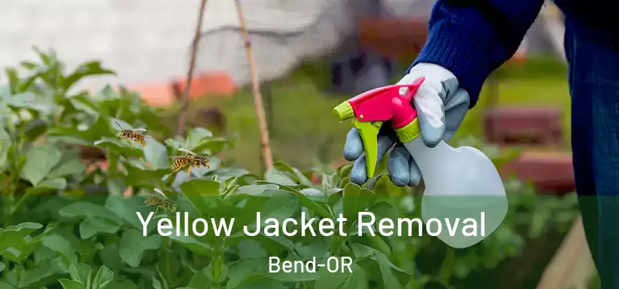  Yellow Jacket Removal Bend-OR